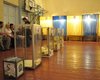Итоги скандальных выборов в Василькове оставили без изменений