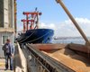 Вывезти без зернового коридора: как украинские производители экспортируют зерновые