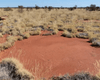 Найденные в Австралии "круги фей" поставили ученных в тупик: как они появились (фото)