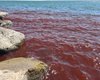 Стало кроваво-красным: Галилейское море, которое упоминается в Библии, напугало туристов (видео)