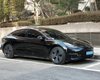 Две американки пытались заправить электромобиль Tesla бензином (видео)