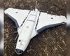 В Украине сбили необычный российский БПЛА "Гербера": что с ним не так (фото)