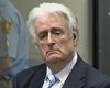 Гаагский суд приговорил Радована Караджича к пожизненному заключению