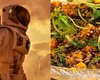Космическая еда. Ученые выяснили, что лучше есть астронавтам во время путешествия на Марс