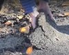 После ремонта дороги на Закарпатье люди поднимают асфальт руками