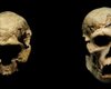 Homo erectus не был первым видом человека, покинувшим Африку 1,8 миллиона лет назад