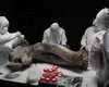 Неожиданно открыли окно в "затерянный мир": ученые препарировали мамонтенка возрастом 130 тыс. лет