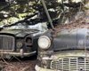 Ржавые раритеты: в разрушеном имении обнаружили заброшенную коллекцию ретроавто (видео)