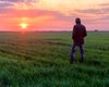 Земельная реформа: еще не рано