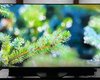 Забудьте об OLED: эксперт назвал преимущества более дешевых телевизоров Mini-LED (фото)