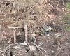 Раскатали российское наступление на Работино: 4 бойцов ВСУ уничтожили 2 отделения оккупантов (видео)