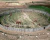 У немецкого "Стоунхенджа" нашли древнее поселение и тела многочисленных жертв