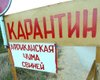 Из-за африканской чумы на Киевщине утилизировали 48 тыс. свиней