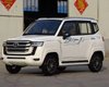 В Китае создали миниатюрный электрический клон Toyota Land Cruiser 300 (фото)