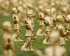 В Австрии с выставки похитили более 200 статуэток Моцарта