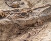 В Польше строители случайно раскопали чумное захоронение (фото)