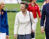 Принцеса Анна вийшла у світ із особливою брошкою за 700 тисяч гривень