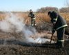 Пожарные никак не могут потушить торф под Киевом