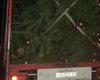 На границе с Россией перехватили грузовик с 800 новогодними соснами (видео)