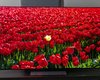 Лучшие 65-дюймовые телевизоры 2026 года: топ-5 моделей по версии экспертов (фото)