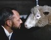 Овечке Долли – 25 лет. Теперь генные инженеры начинают "редактировать" детей