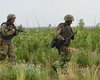 Оккупанты обстреляли Золотое и Гнутово, погиб боец ВСУ