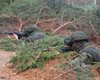 Тревожный сигнал из Беларуси: названы 9 признаков, что Россия может готовить новое наступление на Украину
