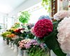 Украинцев возмутили цены букетов на 1 сентября — выше учительской зарплаты (фото)