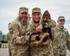 Серіал "Прикордонники": про що сюжет, хто актори і де дивитись всі серії (відео)