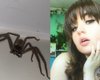 Потоваришувала з величезним отруйним павуком: дівчина показала свого екзотичного вихованця