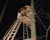 На Закарпатье охотник случайно застрелил своего напарника-пенсионера