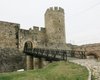 Як верблюди опинилися у середньовічній Сербії: курйозна знахідка у Белградській фортеці (фото)