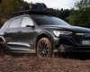 Электрокроссовер Audi получил лимитированную версию для бездорожья (фото)