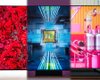 Який телевізор Samsung купити: експерт порівняв моделі OLED, QLED та Micro RGB (фото)