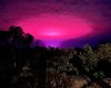 Австралійці помітили незвичайне рожеве свічення у небі: причиною виявився канабіс (фото)