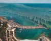 Спутники из космоса засняли, как на побережье Черного моря цветет вода