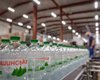 "Приоритас" может получить в управление права на "Моршинскую": что известно о компании