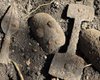 Первая находка такого рода: в Венгрии обнаружили редкие артефакты кельтов (фото)