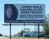 Ищет любовь: мужчина платит по $400 в неделю, чтобы рекламировать себя на билбордах