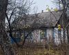 Украинка купила дом в селе за $3 тысячи: там живет всего 10 человек (фото)