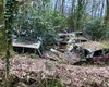 Раритети на галявині: у лісі виявили величезне кладовище ретроавто (відео)