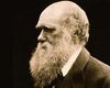 Сегодня отмечают 200-летие Чарльза Дарвина 