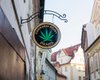 В Чехии легализировали каннабис: сколько марихуаны разрешено иметь