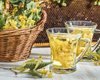 Самый вкусный липовый компот – "экстаз в стакане": как приготовить (видео)