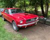 В заброшенном сарае нашли раритетный Ford Mustang 60-х: он 40 лет стоял на месте (фото)