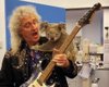 Гитарист Queen устроил концерт для коалы, пострадавшей от пожаров в Австралии