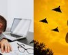 Приказа руководителя недостаточно: с 4 декабря изменятся правила работы во время "желтой" тревоги