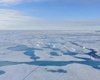 Швидкість танення арктичних морських льодів здивувала вчених: що змінилося за останні 20 років