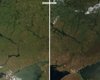"Выжженная земля": как с 2022 года изменился ландшафт Украины, где проходит линия фронта (спутниковые снимки)
