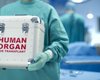 Закон о трансплантации органов до 2020 года вступил в силу